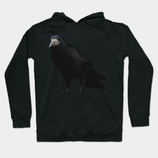 The disapproving Rook Hoodie